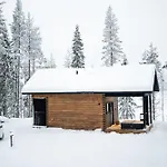 Arctic Bear *