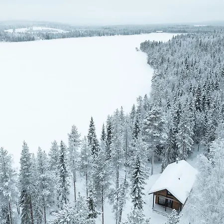 Arctic Bear Rovaniemi