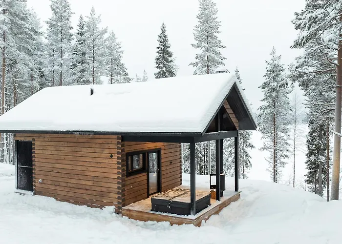 Arctic Bear Daire Korospohja