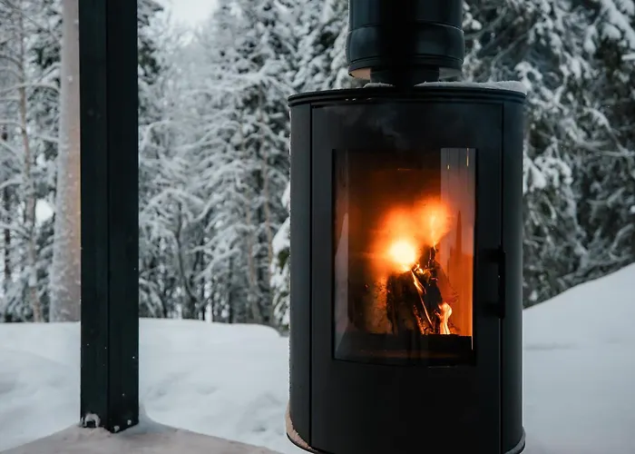 Arctic Bear * Korospohja