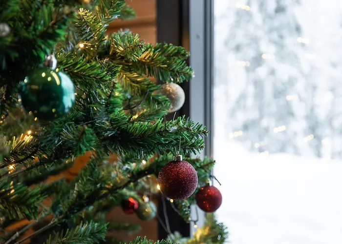 Arctic Bear * Korospohja