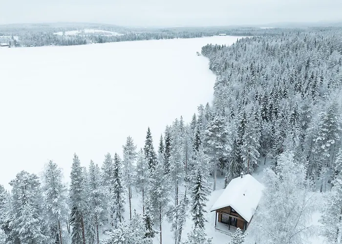 Arctic Bear Korospohja